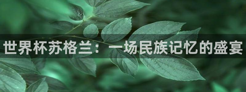 世界杯2026比赛时间表:世界杯苏格兰:一场民族记忆的盛宴