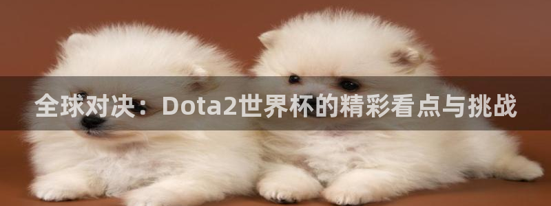 26世界杯:全球对决:Dota2世界杯的精彩看点与挑战