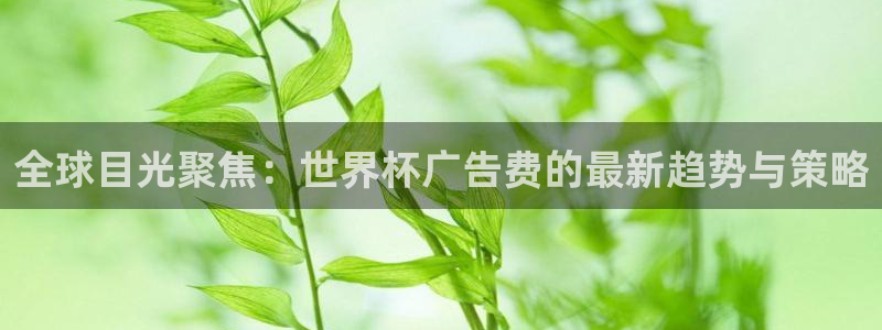 国际足联世界杯:全球目光聚焦:世界杯广告费的最新趋势与策略