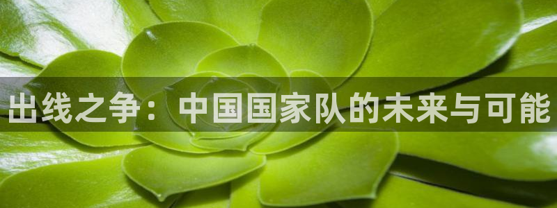 2026世界杯德国队阵容:出线之争:中国国家队的未来与可能