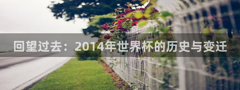 世界杯预选赛亚洲区积分榜:回望过去:2014年世界杯的历史与变迁