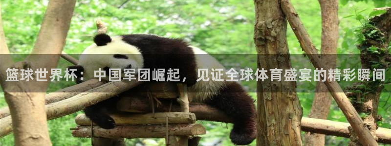 世界杯预选赛:篮球世界杯:中国军团崛起,见证全球体育盛宴的精彩瞬间