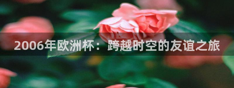 2026世界杯亚洲预选赛:2006年欧洲杯:跨越时空的友谊之旅